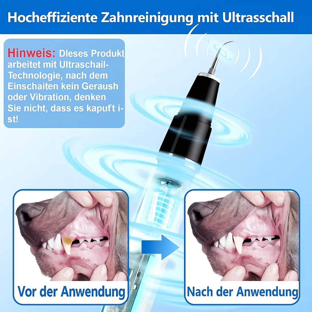 Zahnstein entfernen bei Hund & Katze | Haustier Zahnpflege | Zahnreiniger | PlaqueFrei