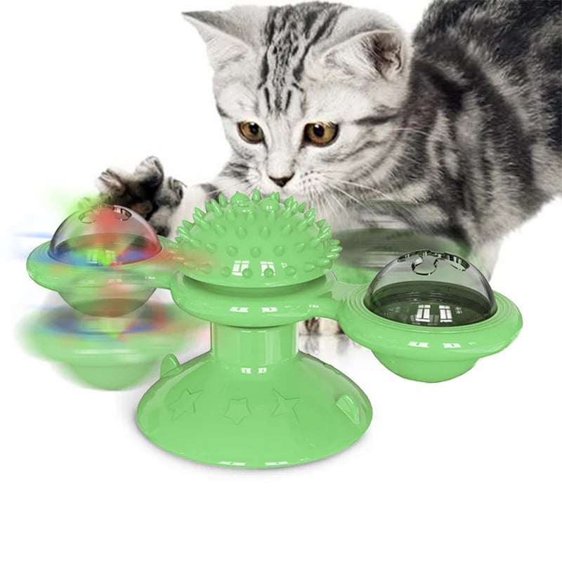 Katzenspielzeug | Interaktives Katzenspielsachen mit Katzenminze | MiauwSpiel