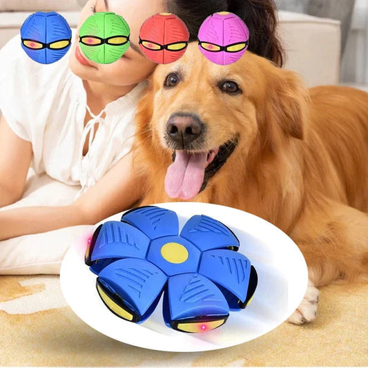 Hundespielzeug | 2-in-1 unkaputtbares Hundespielzeug | FlitzDisc
