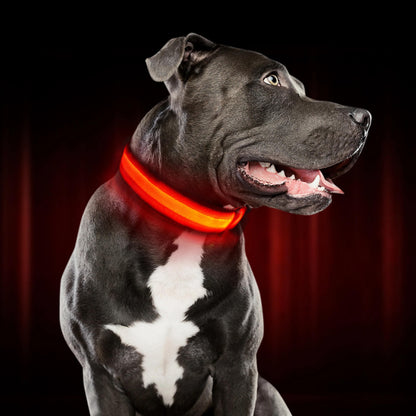 Leuchthalsband für Hunde | LED Hundehalsband | GlowHund