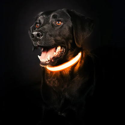 Leuchthalsband für Hunde | LED Hundehalsband | GlowHund