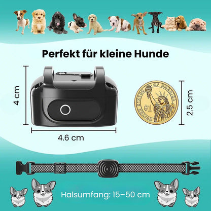 Hundebellhalsband | Anti Bell Halsband für Hunde | BellFrei