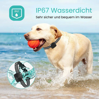Hundebellhalsband | Anti Bell Halsband für Hunde | BellFrei