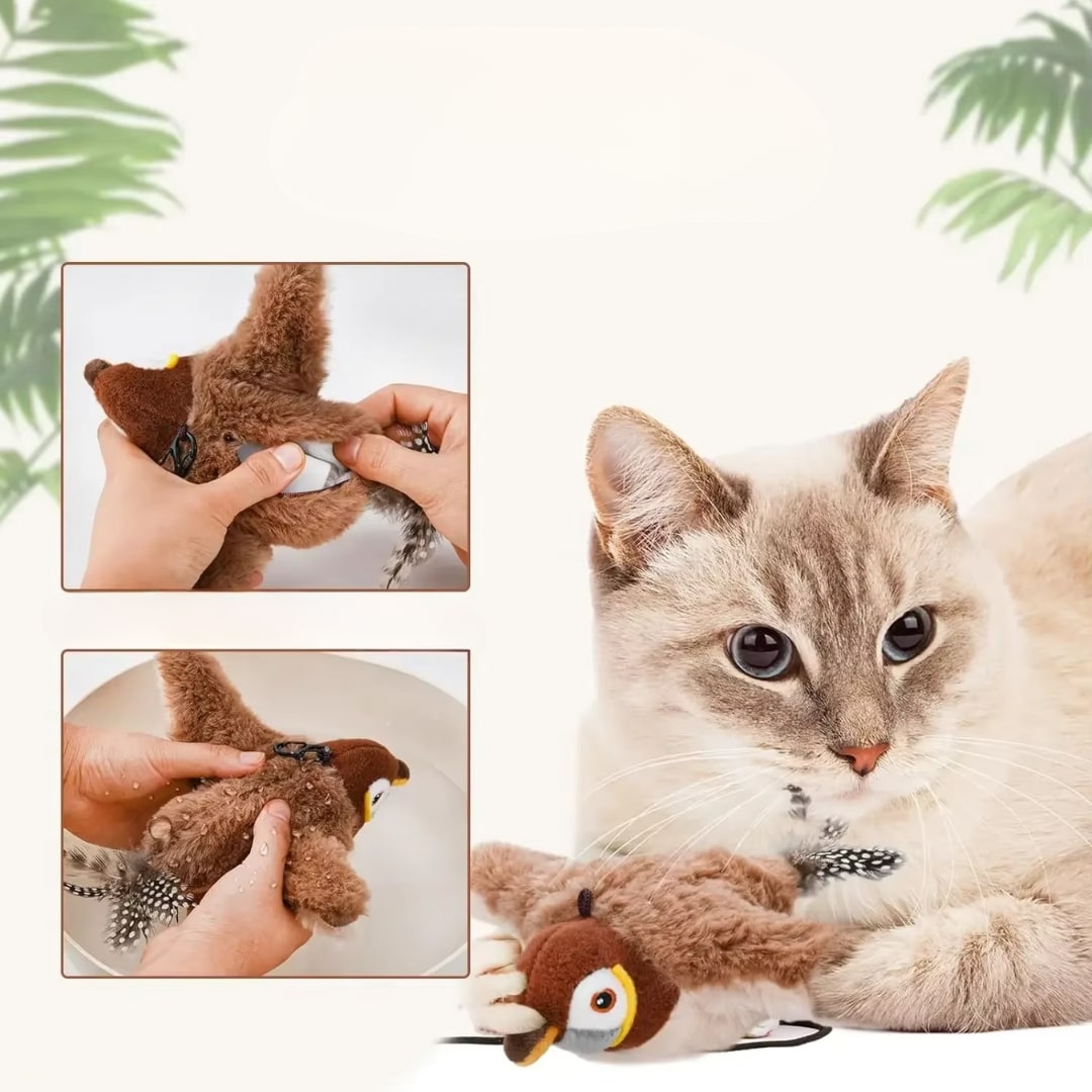 Katzenspielzeug | Flatternder Vogel Katzenspielsachen | Interaktiv und lustig | Miaulino