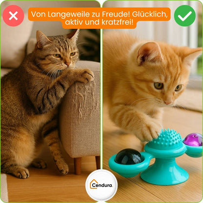 Katzenspielzeug | Interaktives Katzenspielsachen mit Katzenminze | MiauwSpiel