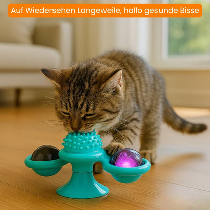 Katzenspielzeug | Interaktives Katzenspielsachen mit Katzenminze | MiauwSpiel