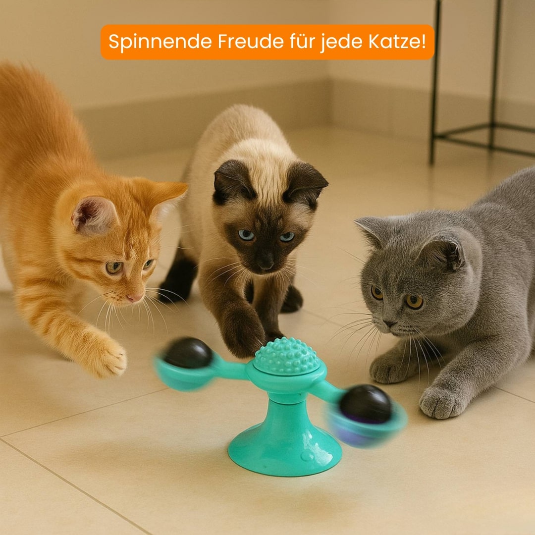 Katzenspielzeug | Interaktives Katzenspielsachen mit Katzenminze | MiauwSpiel