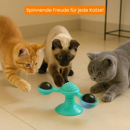 Katzenspielzeug | Interaktives Katzenspielsachen mit Katzenminze | MiauwSpiel
