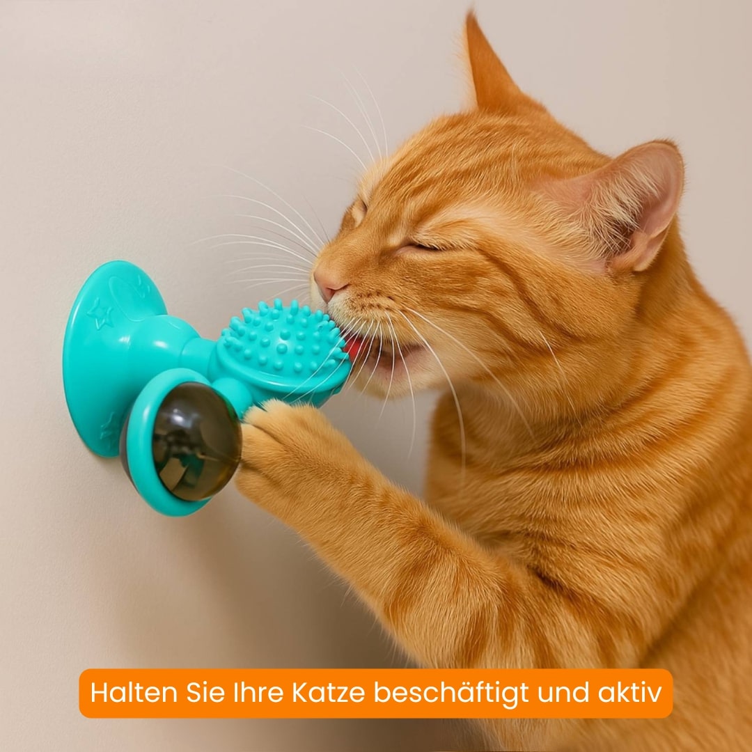 Katzenspielzeug | Interaktives Katzenspielsachen mit Katzenminze | MiauwSpiel