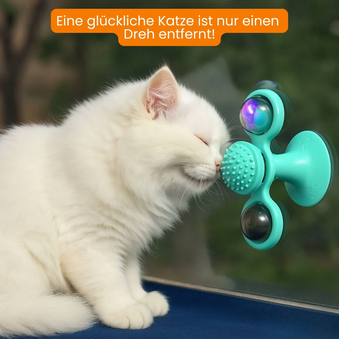 Katzenspielzeug | Interaktives Katzenspielsachen mit Katzenminze | MiauwSpiel