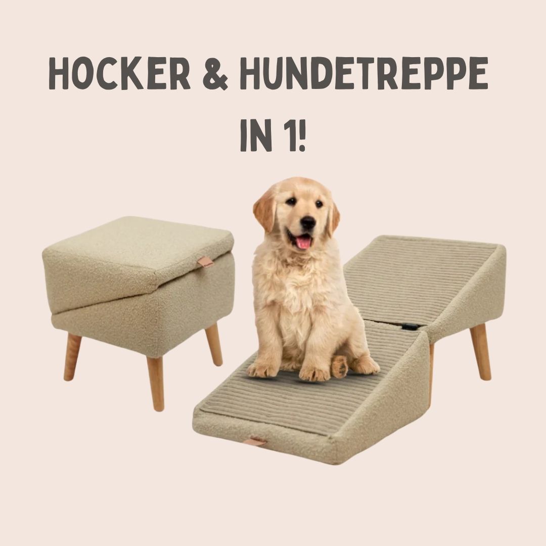 Hundetreppe für Bett & Sofa | Hunderampe & Hocker in einem | SofaFreund