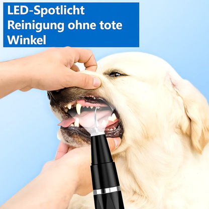 Zahnstein entfernen bei Hund & Katze | Haustier Zahnpflege | Zahnreiniger | PlaqueFrei